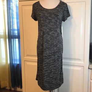 Liz Lange Maternity Dress NWT